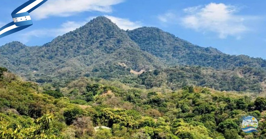Cerro Guanacaure, área de uso múltiple (ZONA PROTEGIDA HONDURAS)